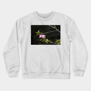 HIBISCUS. GULBENKIAN GARDEN Crewneck Sweatshirt